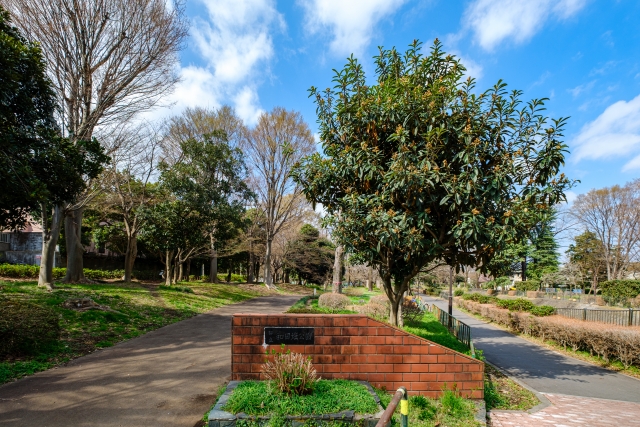 和田堀公園写真