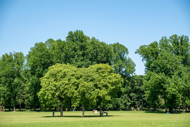 都立小金井公園写真