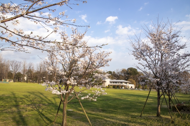 石神井松の風文化公園写真