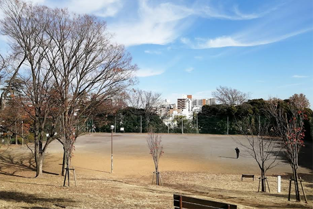 鷺沼公園写真