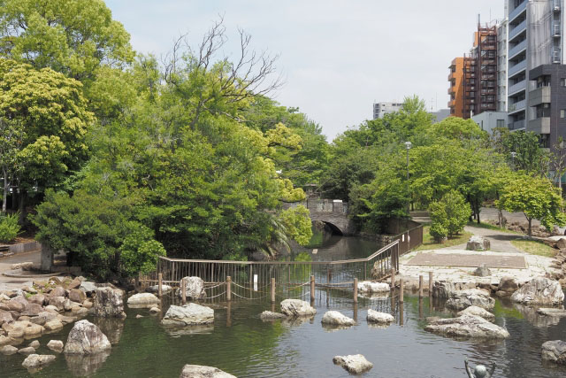 仙台堀川公園写真