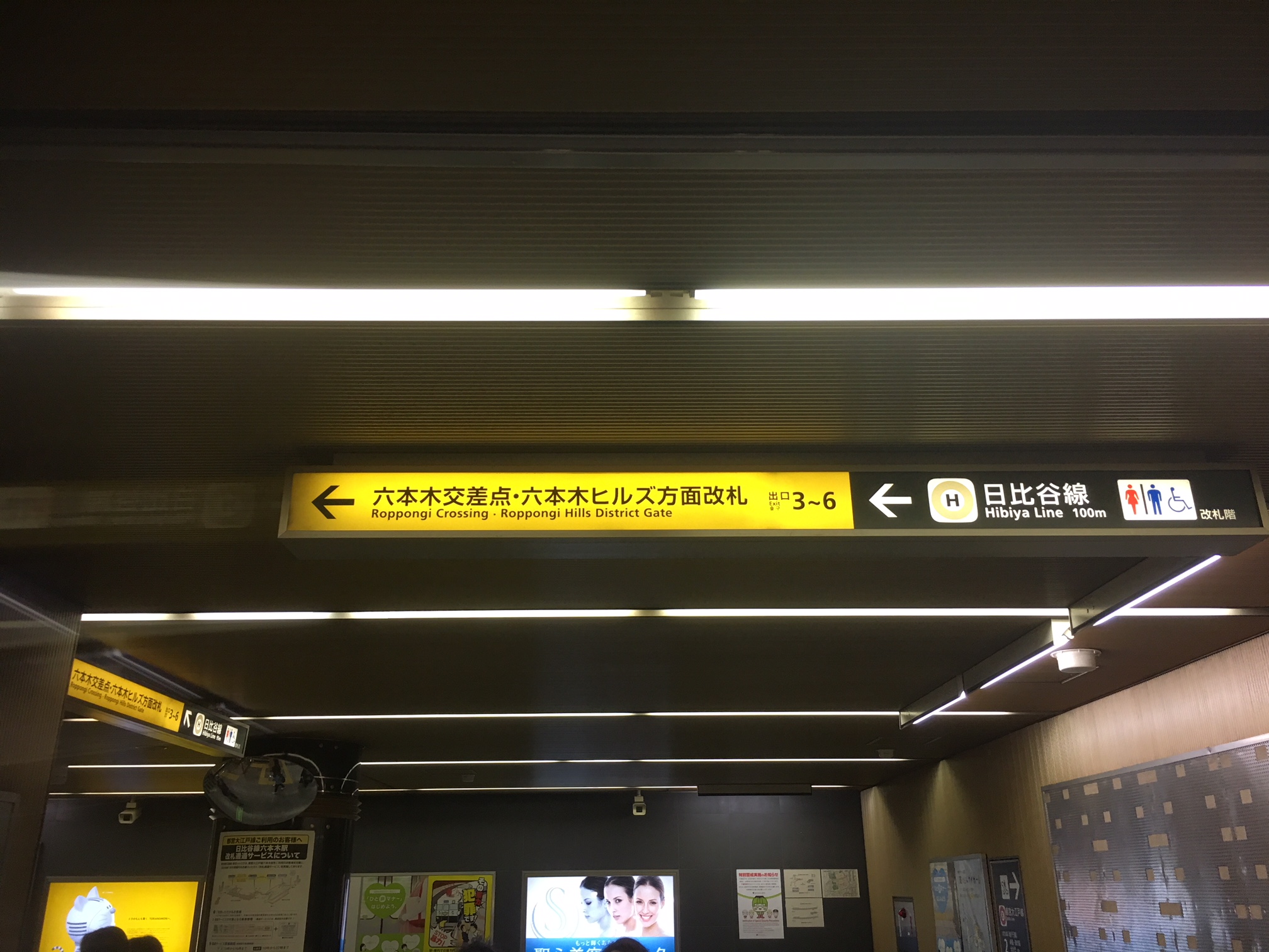 昇ってまた左！！！
