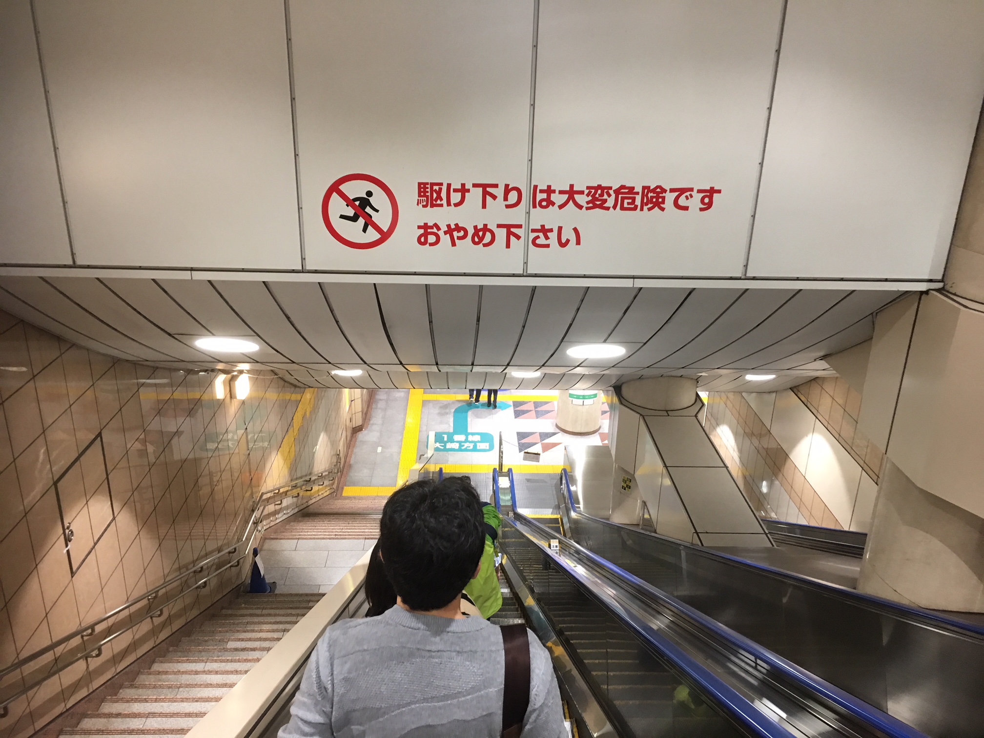 駆け下りは大変危険です　おやめ下さい