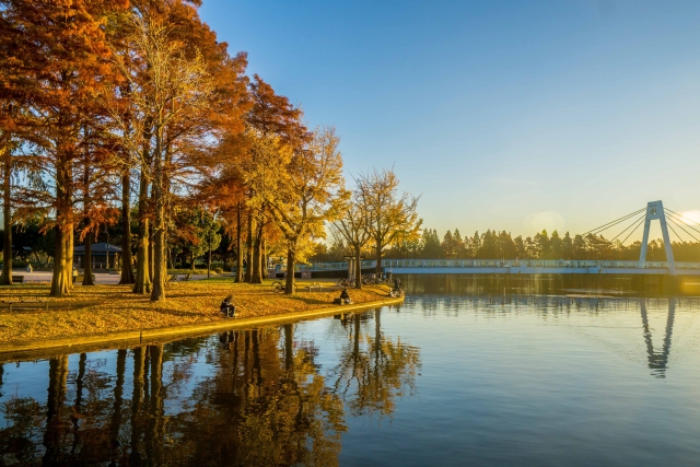 水元公園の紅葉