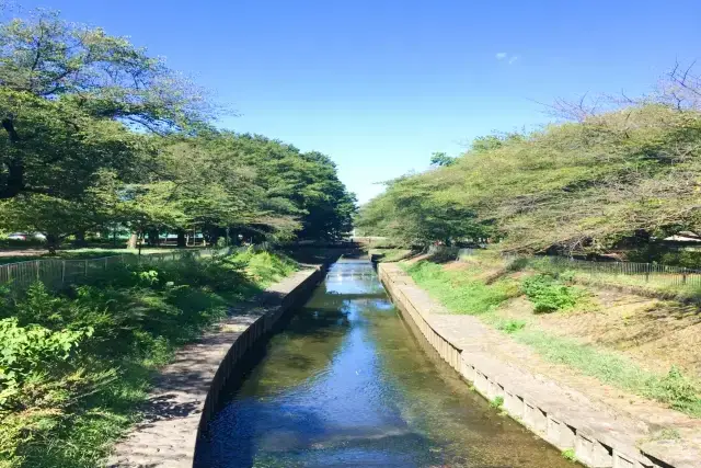 杉並区風景写真