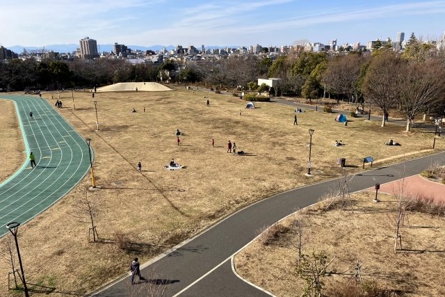 芝生の広がる平和の森公園